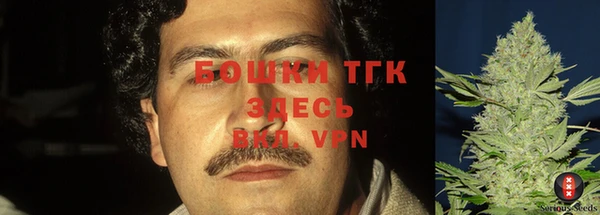 кокаин Белокуриха